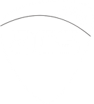 Australian Computer Society (ACS)